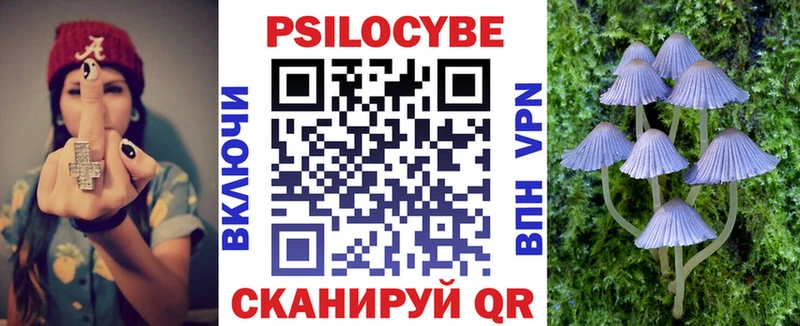 Галлюциногенные грибы Cubensis Елизово