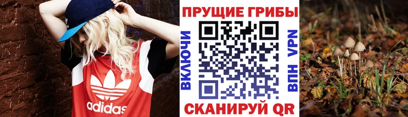 закладки  Елизово  Галлюциногенные грибы ЛСД 