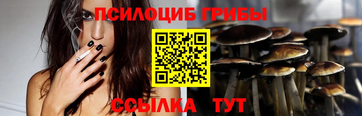 Галлюциногенные грибы MAGIC MUSHROOMS  Вход с VPN  Елизово  Псилоцибиновые грибы Psilocybine cubensis 